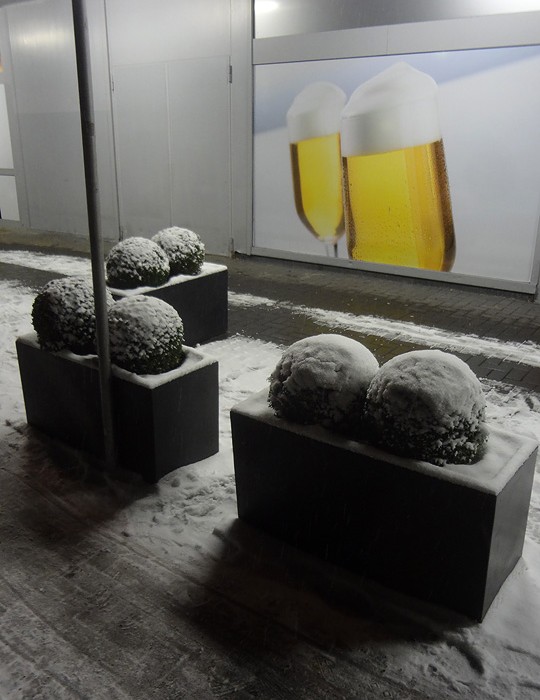 DSC04442_web