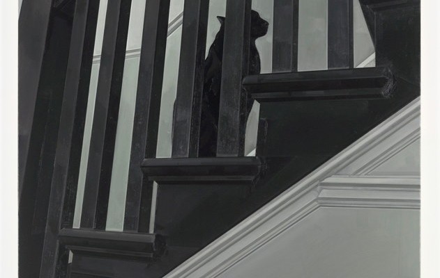 Katzen&shy;schatten&shy;dimensionen