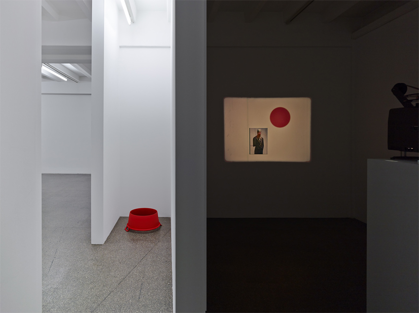 Installationsansicht Pietro Roccasalva F.E.S.T.A., Kölnischer Kunstverein, 2014. Foto: Simon Vogel