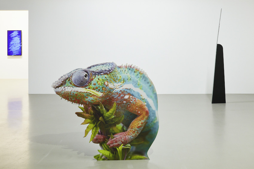 “Speculations on Anonymous Materials”, Installationsansicht Fridericianum © Photo: Achim Hatzius / vorne: Katja Novitskova, Approximation V Chameleon, 2013 Digital print on aluminum dibond, cutout display 145 x 130 x 20 cm Courtesy Katja Novitskova and Kraupa-Tuskany Zeidler, Berlin / Hinten links: Ken Okiishi gesture/data, 2013 / Hinten rechts: Katja Novitskova, Branching II, 2013